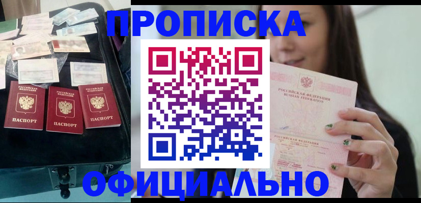 прописка законно в Елизово